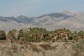 IMG_4134