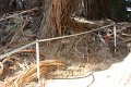 IMG_7652