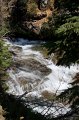 IMG_7081