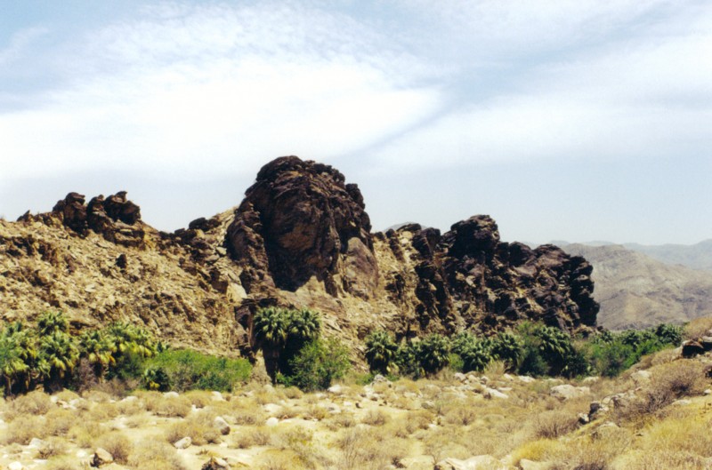 Andreas Canyon Photo by: Gary R. Burzell