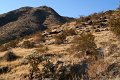 IMG_8259