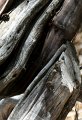 IMG_7592