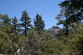 IMG_7595