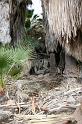 IMG_7407A