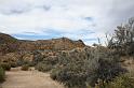 IMG_7410A