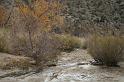 IMG_7413A
