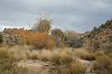 IMG_7415A