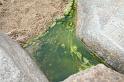 IMG_7418A