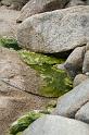IMG_7420A