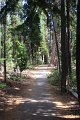 IMG_6939
