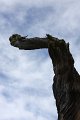 IMG_6970