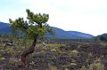 IMG_6972