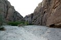 IMG_1631