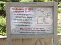 DSCN5667