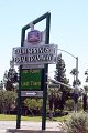 IMG_6683