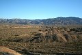 IMG_4335