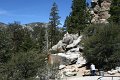 IMG_7428