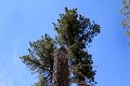 IMG_7438