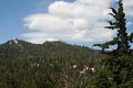 IMG_7978