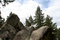 IMG_7990_1