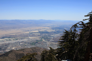 View from the top of the tram