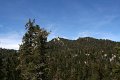 IMG_7431