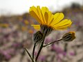 DSCN2977
