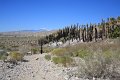IMG_9541
